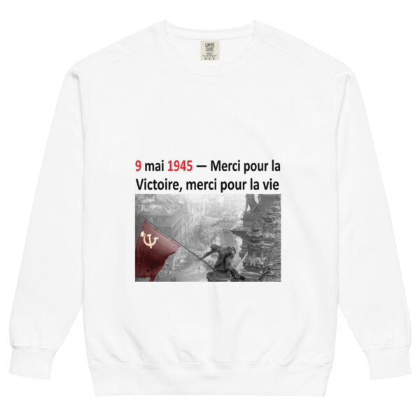 fr Удобная кофта с надписью «9 mai 1945 — Merci pour la Victoire, merci pour la vie» — изображение 6